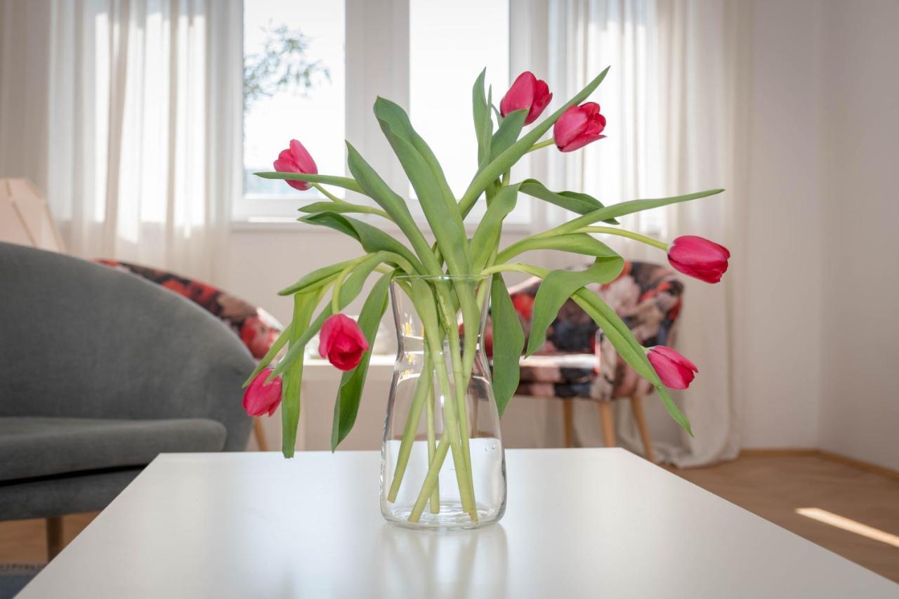 Apartment Tana プーラ エクステリア 写真